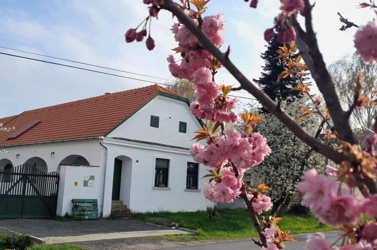 Вилла Fuszeres Porta Mihalyfa Экстерьер фото